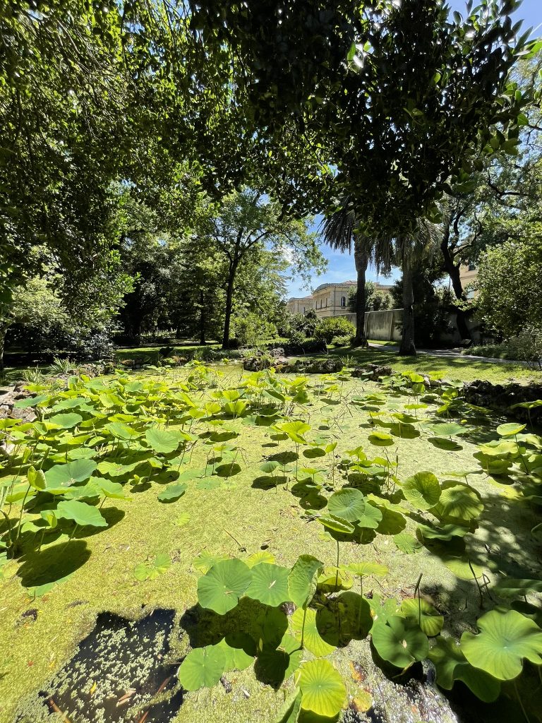 Orto e Museo Botanico di Pisa